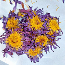 Blue Lotus Nymphaea Caerulea Natural Flowers Egyptian Lotus Dried whole flowers