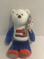 MASSACHUSETTS State Quarter Coin Bear 6th State Plush 8" Limited Treasures 2001