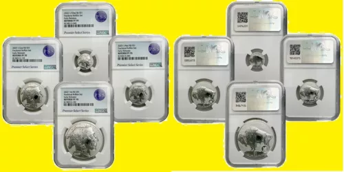 2023 Silver Buffalo 4 coins Set Fractional NGC RV PR 70 Early Release FIJI mint