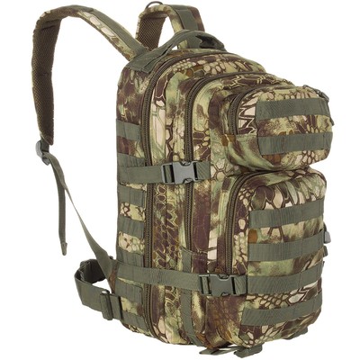 us assault pack small