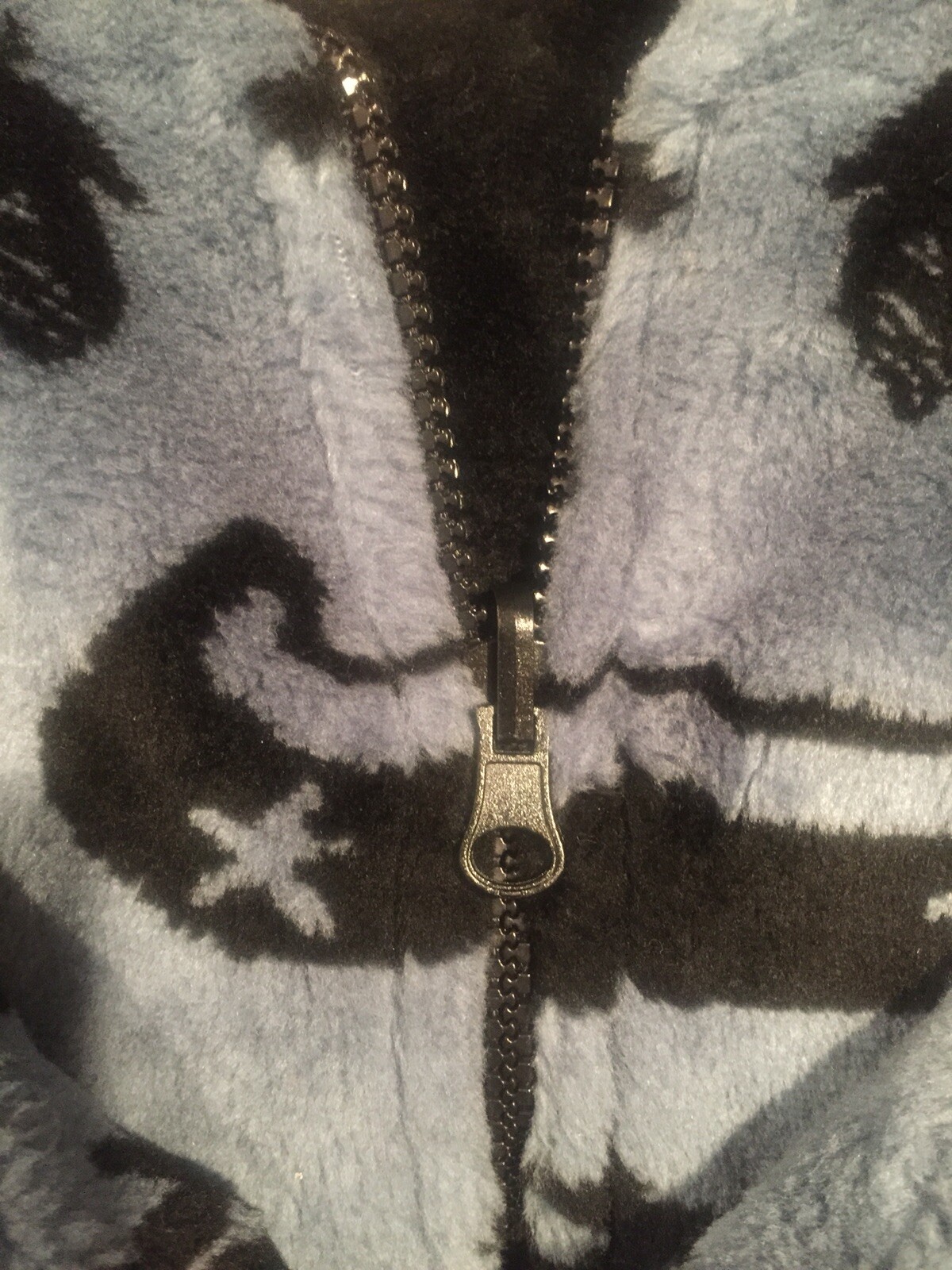 Picture 4 of 12