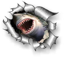 CLASSIC Ripped Open Torn Metal Rip & Great White Shark Bite vinyl car sticker