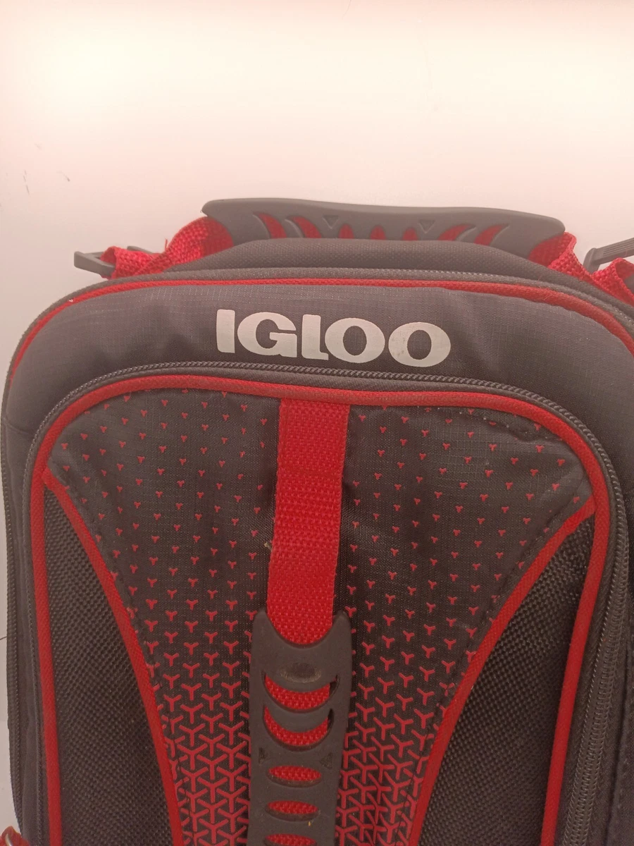 Lunch hotsell boxes igloo