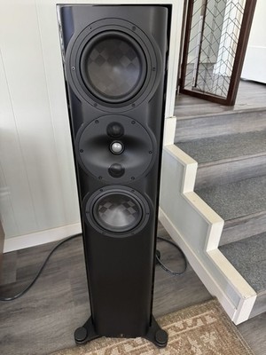 Perlisten Audio S5T