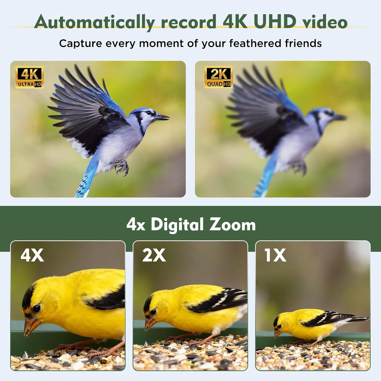 Hibird 4K HD Smart Bird Feeder with Camera Solar Powered, 2.4Ghz/5Ghz Dual Wifi