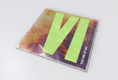 You Me At Six Vi (Vinyl)