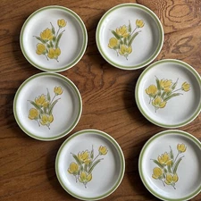 Stoney Brook stoneware Vintage Retro salad dessert plate 6 Set  Green Yellow Og