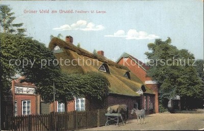Bockhorn Friesland Gruener Wald am Urwald