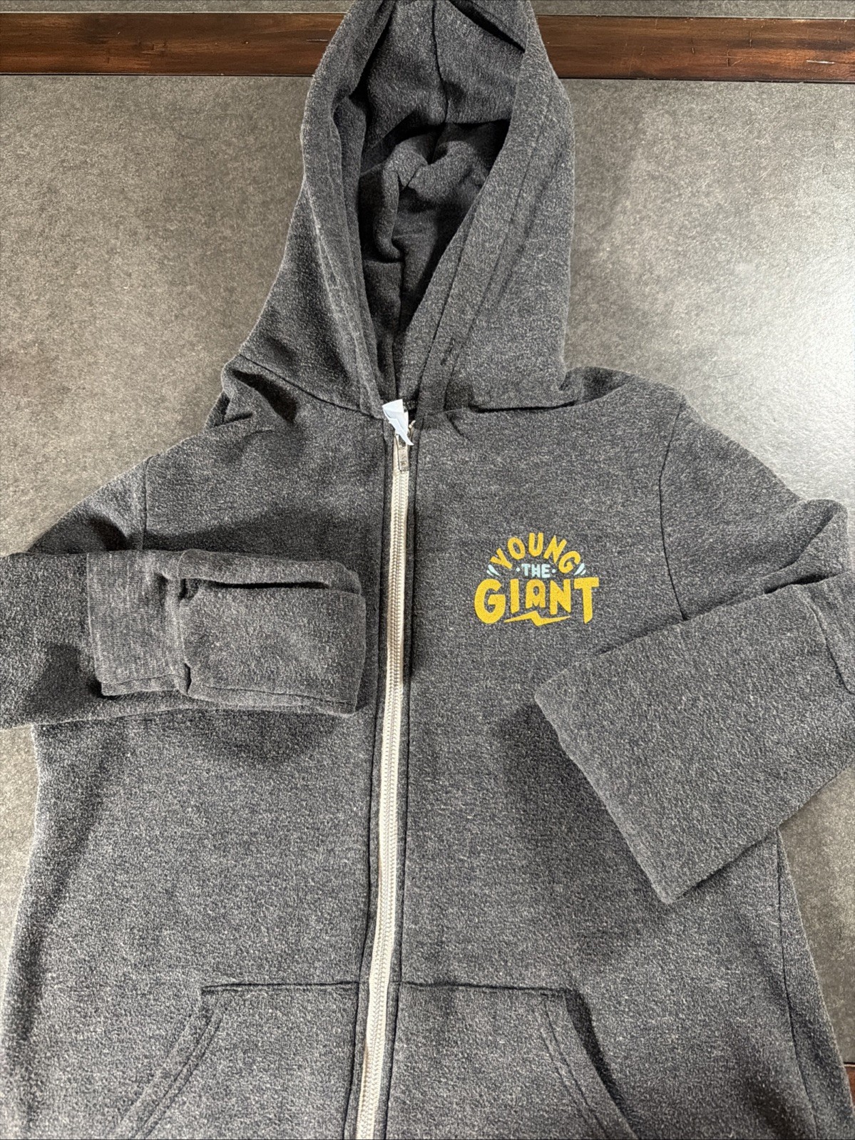 Young The Giant Hoodie Mens L Alternative Apparel Zip Up Band Tour Sweatshirt