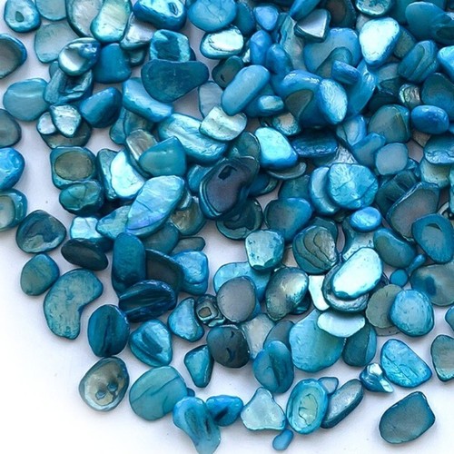 250g Naturel Mer Coque Mosaïque Tuiles Arts Crafts Matériel Divers Irrégulière - Afbeelding 13 van 15
