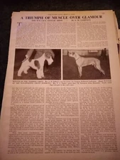 Bbn10 Ephemera 1960s article w e l k s dog show a b dallison e a Danby 