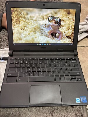 Dell Chromebook 3100 11.6'' (32GB eMMC Intel Celeron N4020 1.1GHz 4GB RAM) Touch