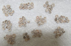 VERY NICE LOT OF 106 OLD CALIFORNIA SHELL TRADE BEADS--NR! — photo 3