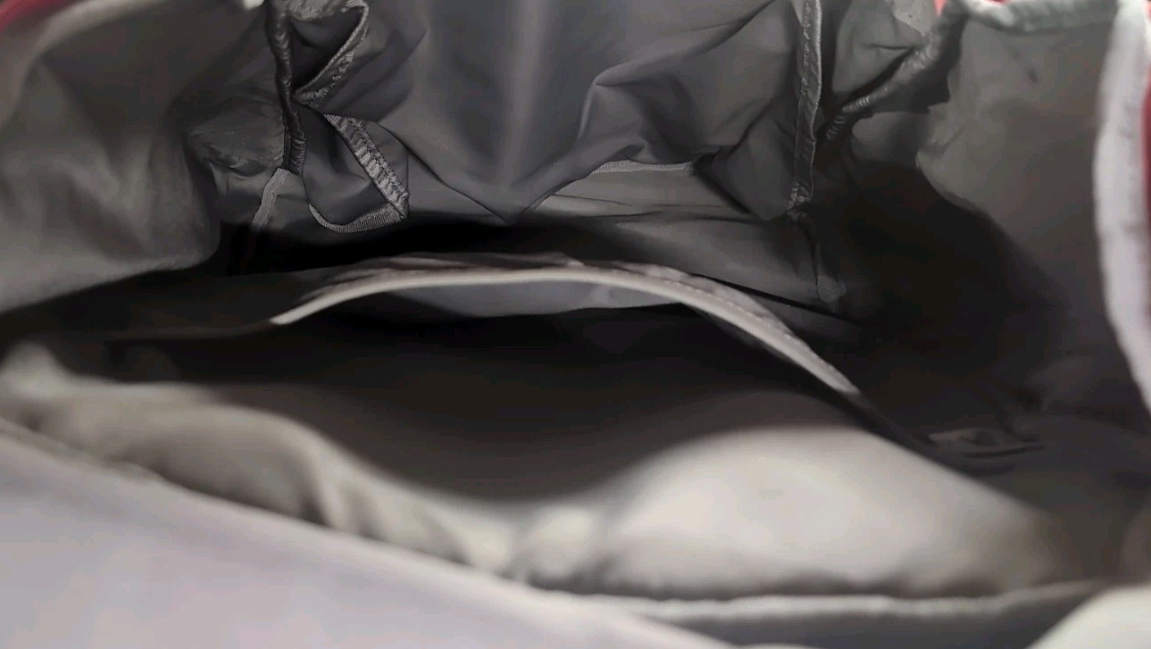 Speedo Swim Backpack *US Team *American Patriotic Print