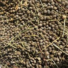 Organic Rabbit Bunny Poo Garden Lawn Manure Fertilizer Hermit Crab Food 2 LBs — photo 3