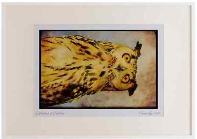 707050 Adler Eule Aquarell Bilderrahmen limitierte Auflage A3