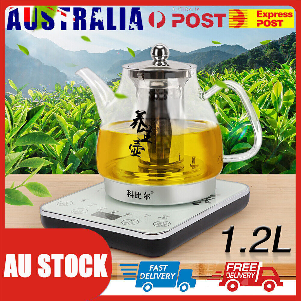 Healthy Choice Electric Glass Kettle With Tea Infuser Healthy