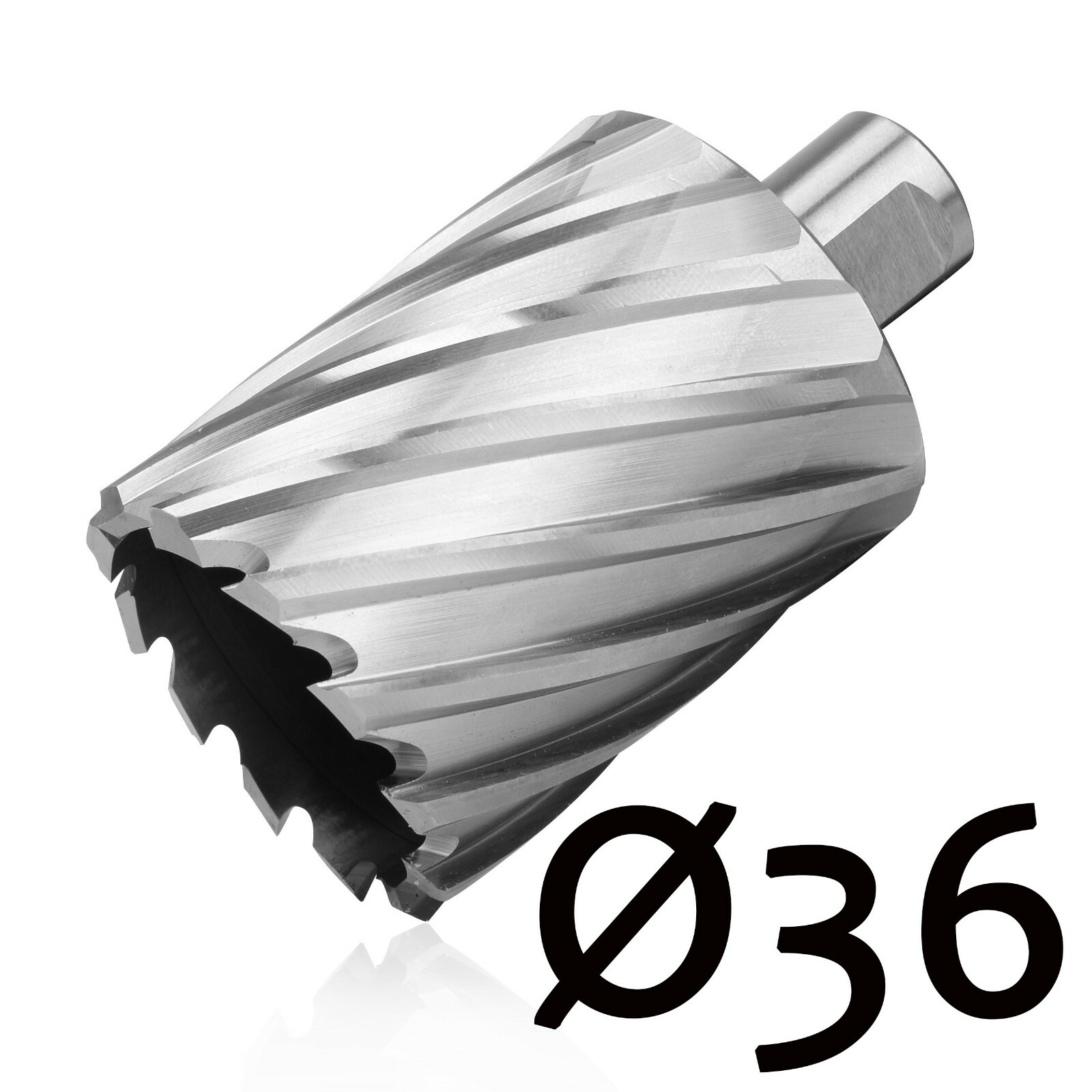 Bild 31 von 45