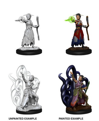 D&D Nolzurs wunderbare unbemalte Miniaturen: weiblicher menschlicher Hexenmeister