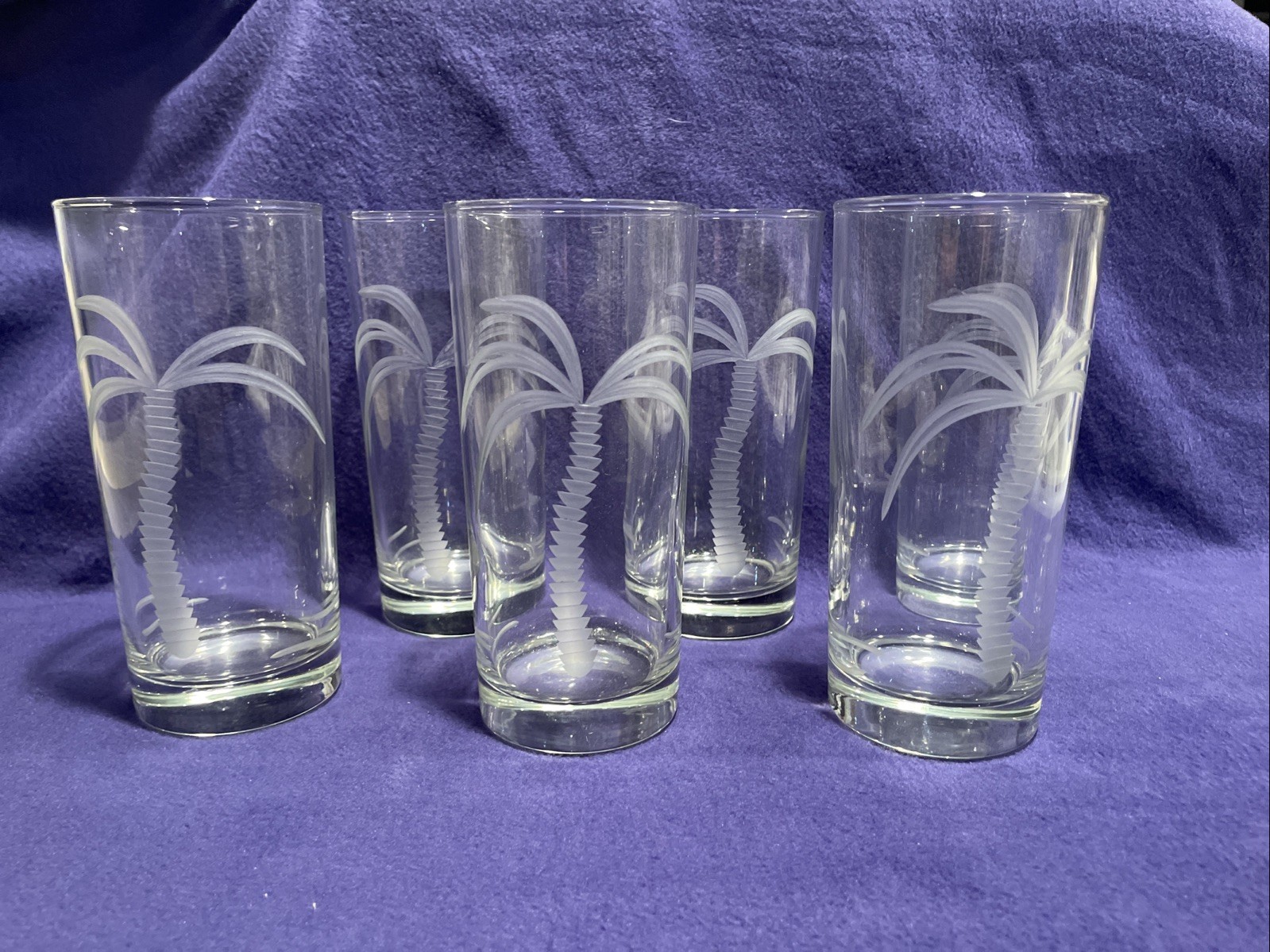 6-Piece Tropical Palm Tree Etched Glass Set