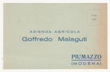 Cartolina postale - Piumazzo - Azienda Agricola - Castelfranco - Modena