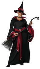 Ruby Glamour Witch Plus Costume Dress And Hat 8025-079