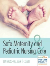 Safe Maternity & Pediatric Nursing Care - Paperback - VERY GOOD