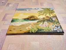 Finished paint by numbers "Sunny beach", 50cm 40cm/19.5" 15.5"