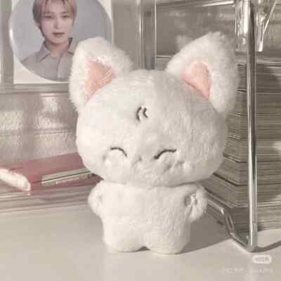 enhypen ソヌ sunoo 50cm ぬいぐるみ enhypen sunoo Doll Sunu Fox | eBay