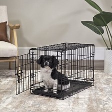 Vibrant Life Foldable 22" Wire Crate for Dogs with Divider and Leak-Proof Tray