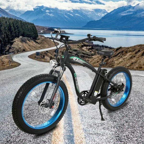 Hammer Electric Fat Tire Bike Beach Snow Road Bicycle Ebike 48v750w