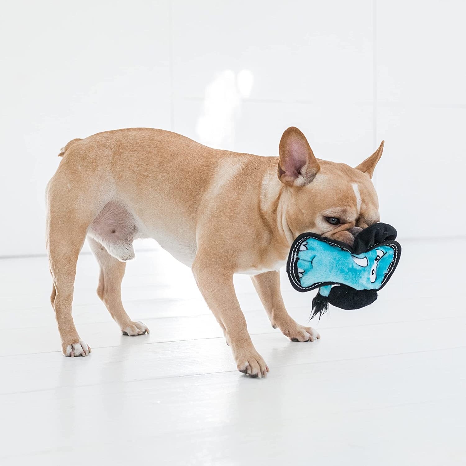 Outward Hound Medium TOUGH SEAMZ LION Durable Squeaky Dog Toy New -FREE SHIPPING
