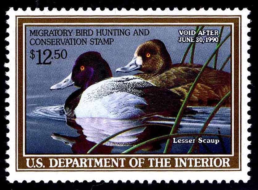 RW56 MINT FEDERAL DUCK STAMP OF 1989 - MOGNH - VF - CV $20.00 (ESP