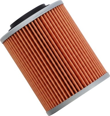TWIN AIR OIL FILTER FOR CAN AM (BRP) RENEGADE 500 EFI 4X4 2011