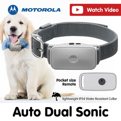 Hot motorola dog training collar Top Sellers