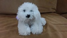 Childrens Plush Purse Dog