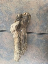 Natural Driftwood for Plants Terrarium Taxidermy Art Projects