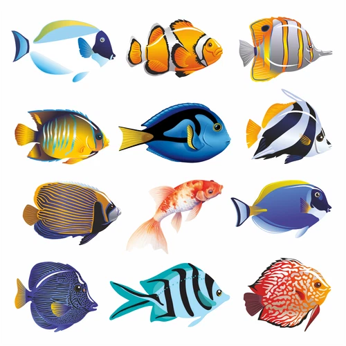 Tropical Fish Vinyl Art Decal Sticker [Multiuse] Tile Laptop Wall Toilet Graphic