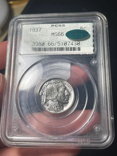 1937 PCGS MS66 CAC Buffalo Nickel Doily Toned Rare