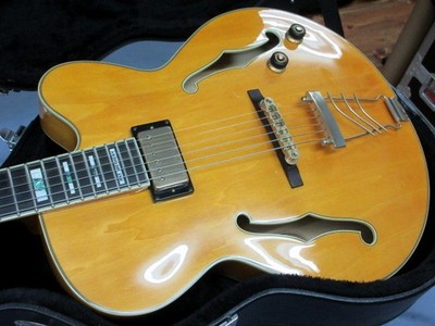 Ibanez PM2-AA-12-02 Pat Metheny / Antique Amber o8614 | eBay