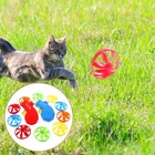 Bild 8 von 12