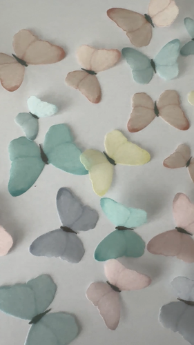 Multicoloured Pastel Pre-cut Edible Wafer Butterflies - Video 1 van 1