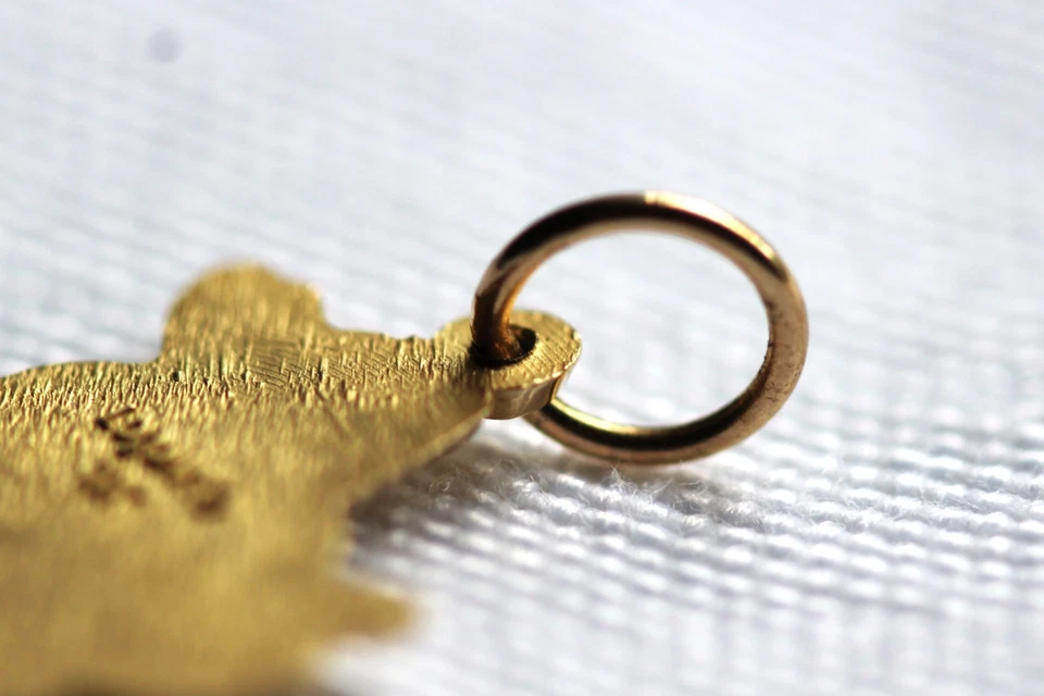 Colgante de oro amarillo de 10k LOGOArt Florida Gator con dije de mascota camisa F Foto 4 de 4