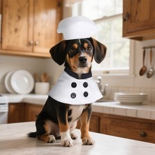 Chef Hat for Dog Pet Chef Hat Costume Set - Pet Cooking Chef Cap Chef Dog Ban...