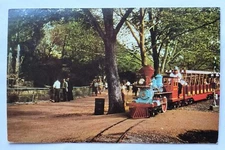 St. Louis MO Missouri Zoo Line Railroad Forest Park Vintage Postcard K4