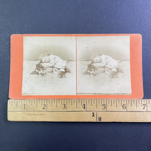 Child Cuddling Her Dog Stereoview Border Collie Antique c1865 X1535