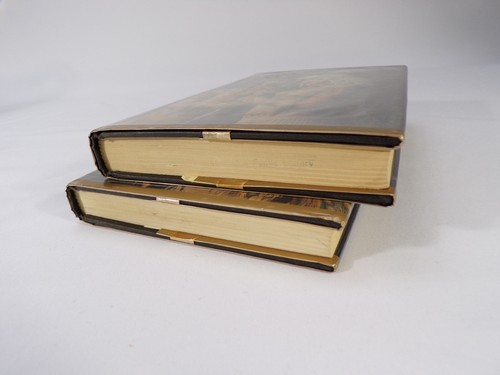 Two 1st Ed Jane Yolen Books Sister Light Sister Dark, White Jenna Hardback C24 - Picture 4 of 11
