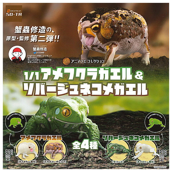 1/1 Breviceps Adpersus & Waxy Monkey Tree Frog Capsule Toy 4 Types Full Comp Set