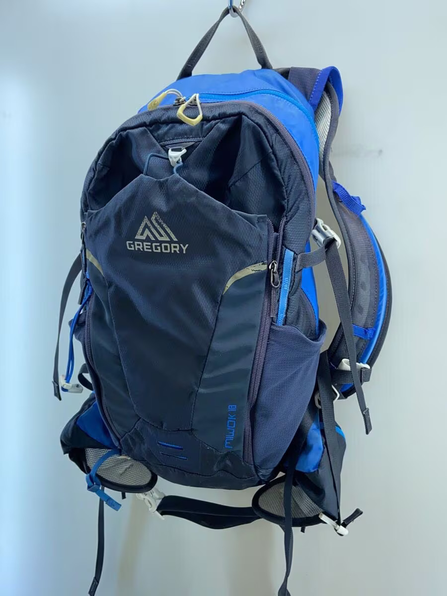 GREGORY Backpack - Condition Considered - Blue Pl… - image 2