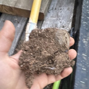 DIRT CHONK